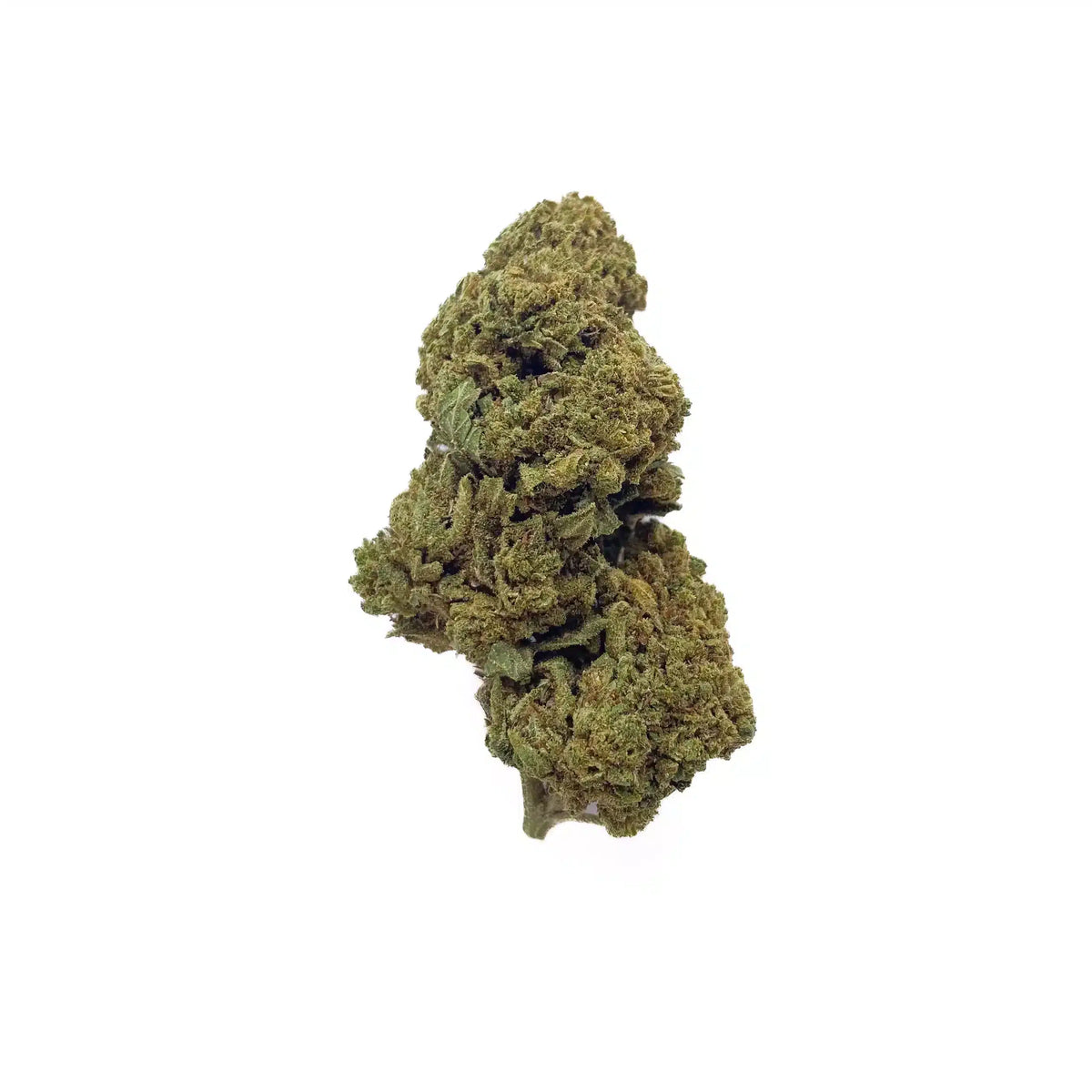 🍭 BUBBLE GUM