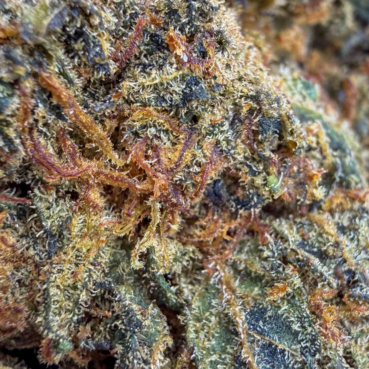 😈 CRITICAL+ THCX