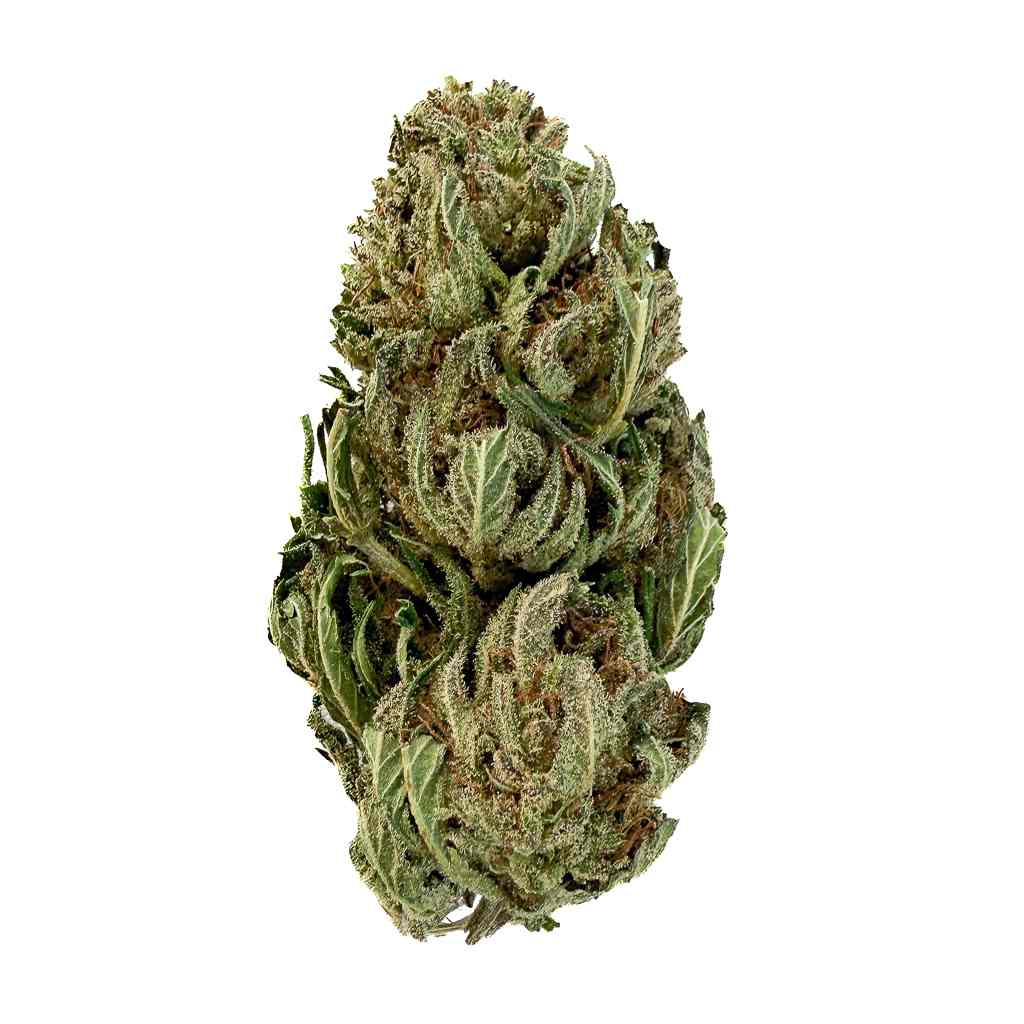 🍬 CANDY HAZE