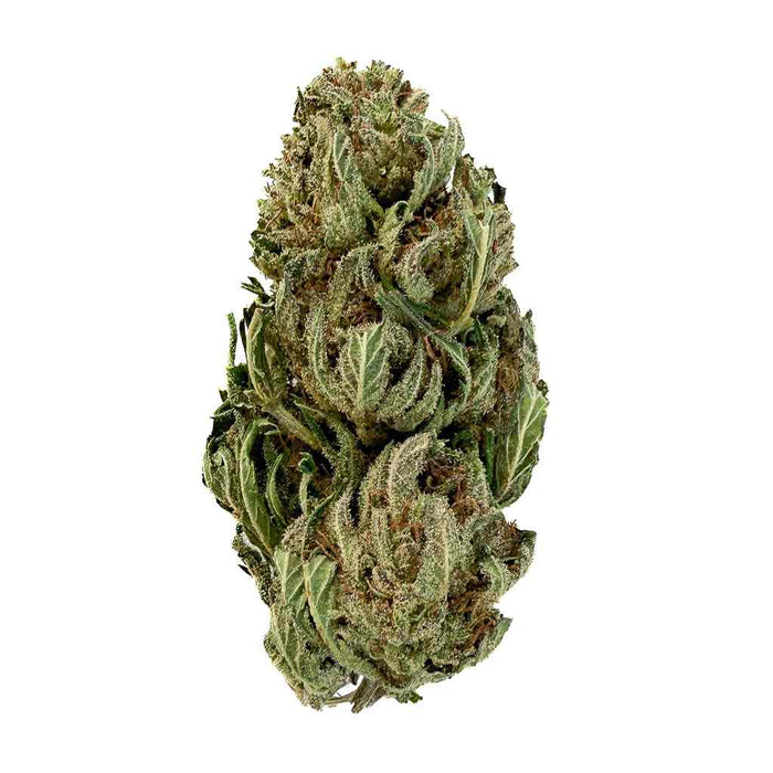 🍬 CANDY HAZE