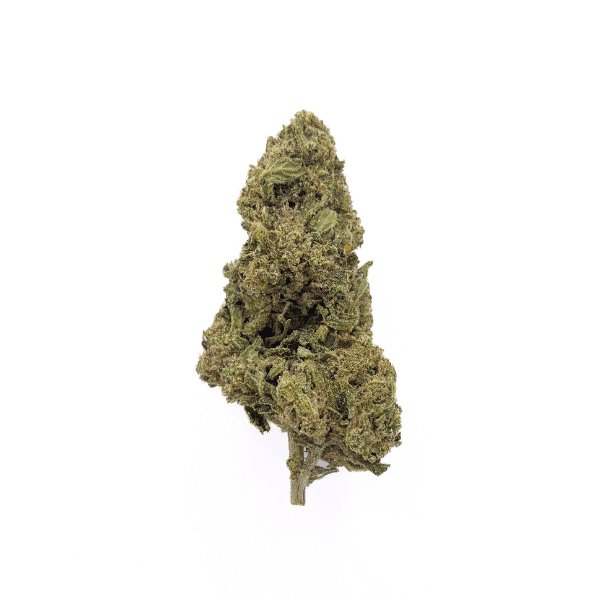 😈 WHITE WIDOW