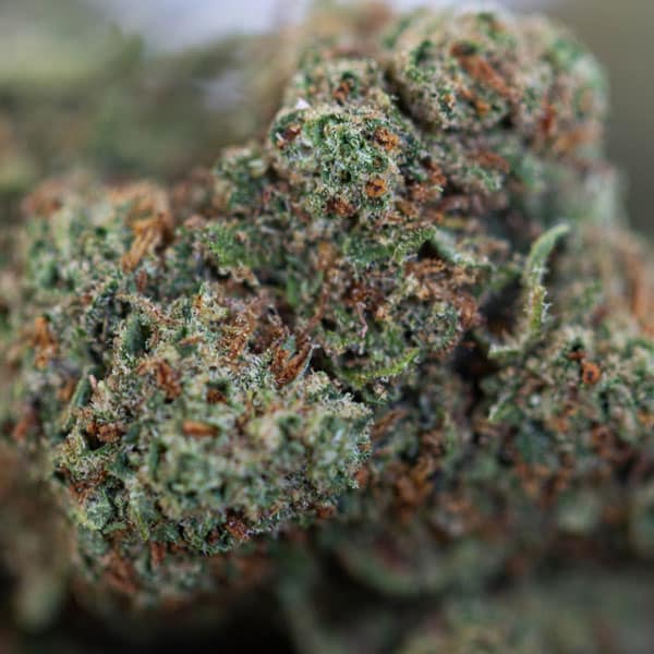 🍭 ZKITTLEZ LAB
